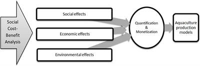 A Methodological Note for the Development of Integrated Aquaculture Production Models